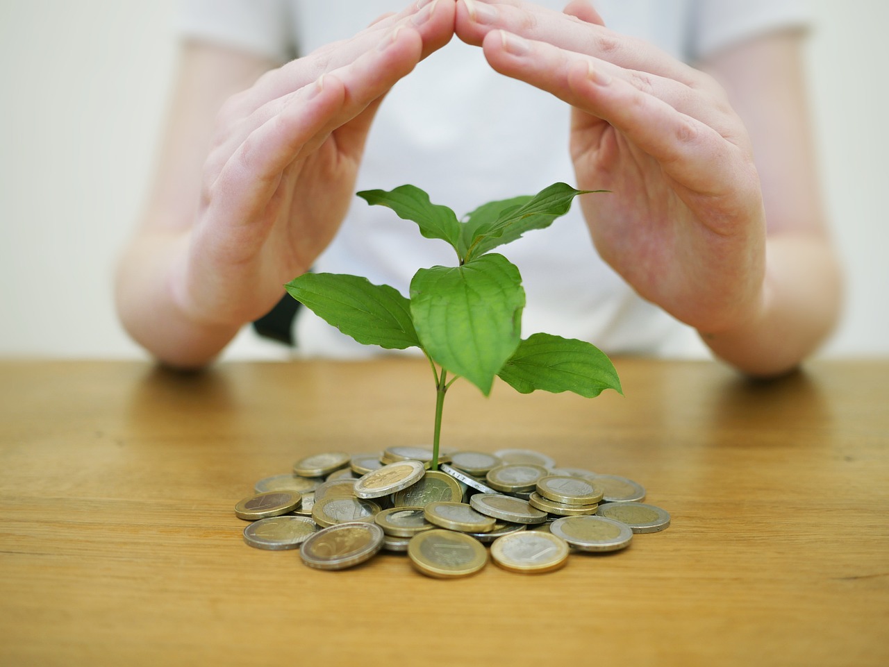 une table sur la quelle il y à de la tas de monnaie empilé ou posse une plante. Il y a un homme qui couvre cette plante avec ces mains