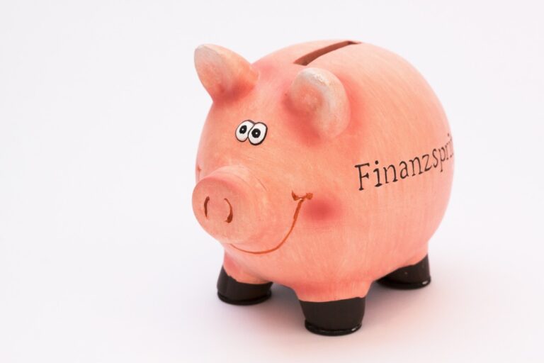 Une tirelire en forme de cochon